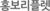 홍보리플렛